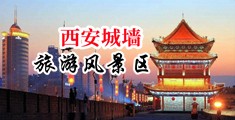 狂操日本美女空姐小穴中国陕西-西安城墙旅游风景区